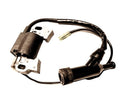 Ignition Coil 6.5hp