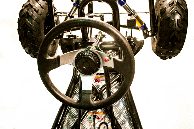 Go Karts Australia.  Steering wheel and foot pedal setup